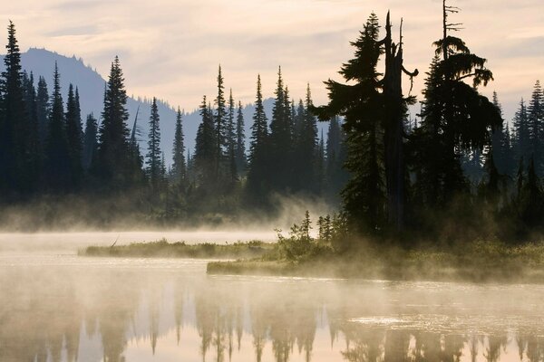 Naturlandschaft mit Nebel auf der Wasseroberfläche