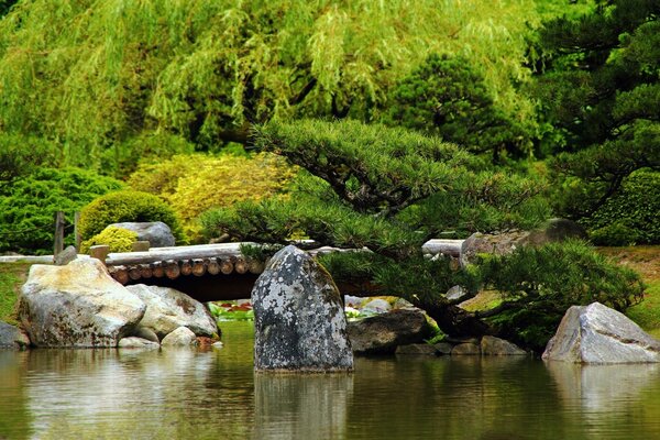 Paesaggio naturale con foresta verde e massi