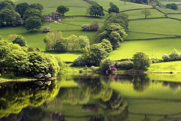 Hermoso paisaje del lago y la naturaleza