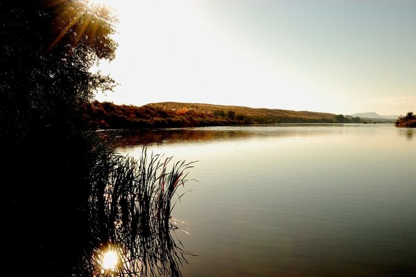 Pflanzen am Wasser, Sonne und Himmel