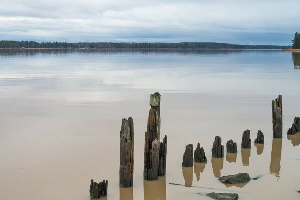 Bright daylight by the water