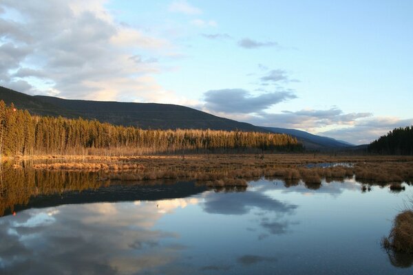 Beautiful landscape of lake mountains and trees