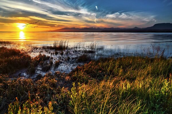 Paisaje natural con bandadas de aves en el fondo de la puesta de sol