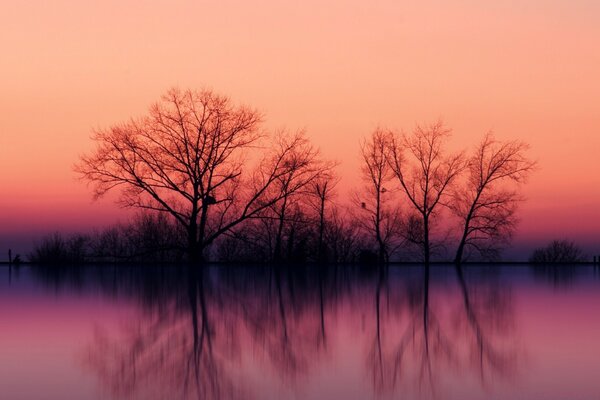 O fabuloso e mágico amanhecer no lago