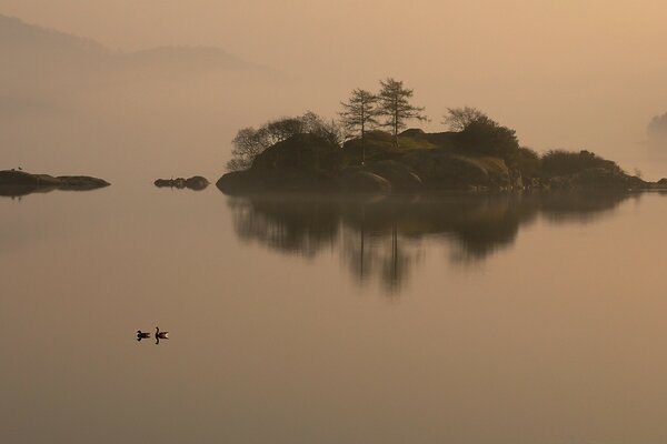 Patos en el lago junto a la isla de la chimenea