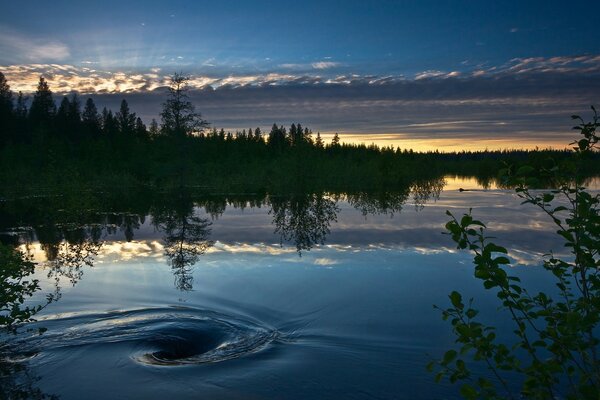 An unusual natural phenomenon on the lake