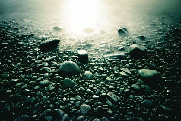 Piedras húmedas grises y luz