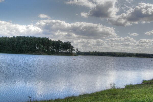 O lago e a floresta cinzenta