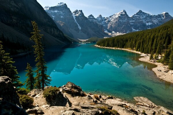 Forest and green lake in the mountains