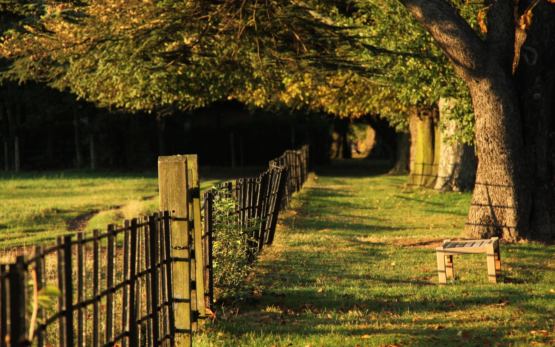 sommer holz zaun landschaft gras holz im freien natur herbst alt blatt reisen park licht bauernhof land landschaftlich tageslicht