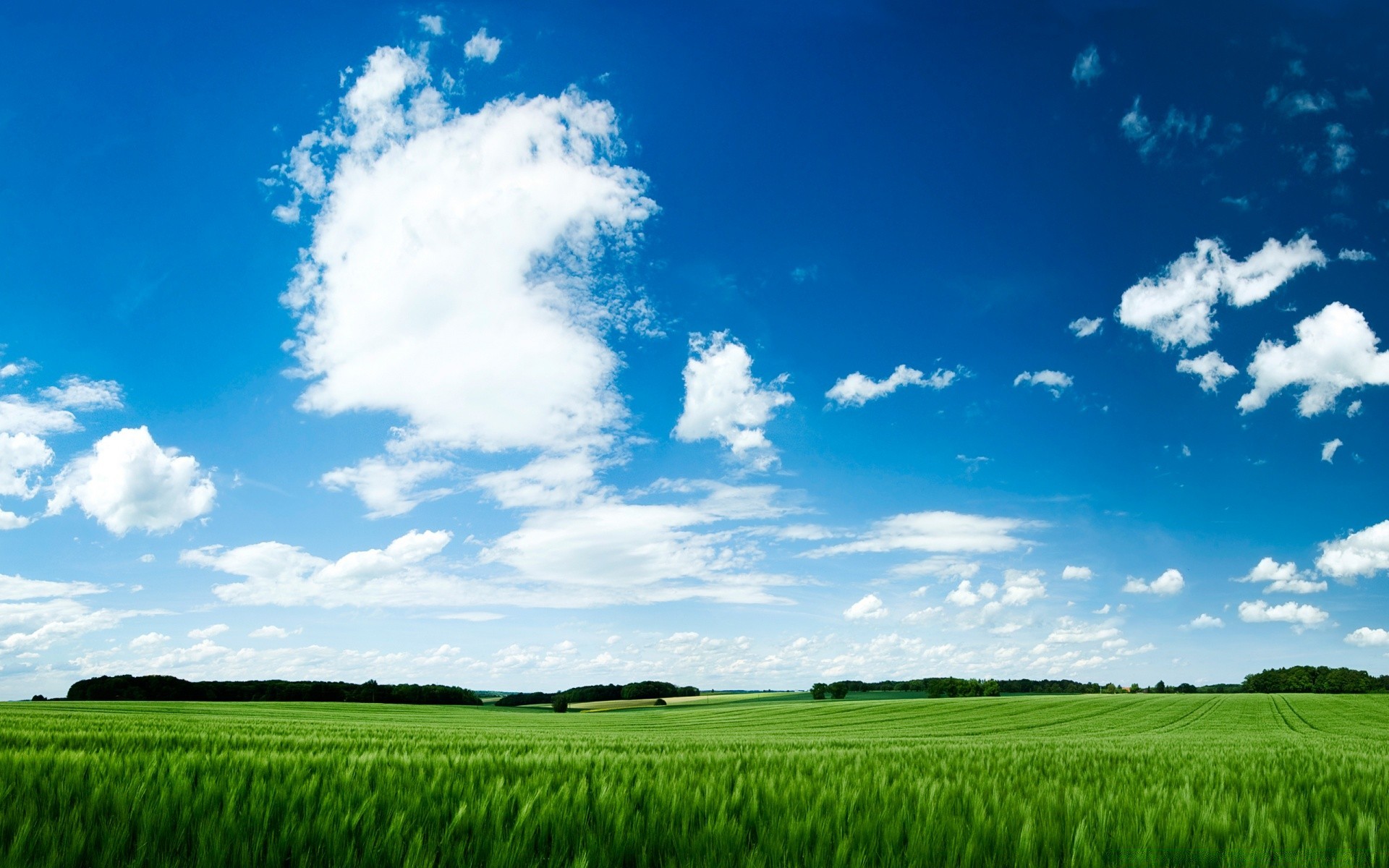 sommer des ländlichen gras weide landschaft natur feld im freien bauernhof landwirtschaft himmel gutes wetter ackerland idylle heuhaufen wachstum boden sonne