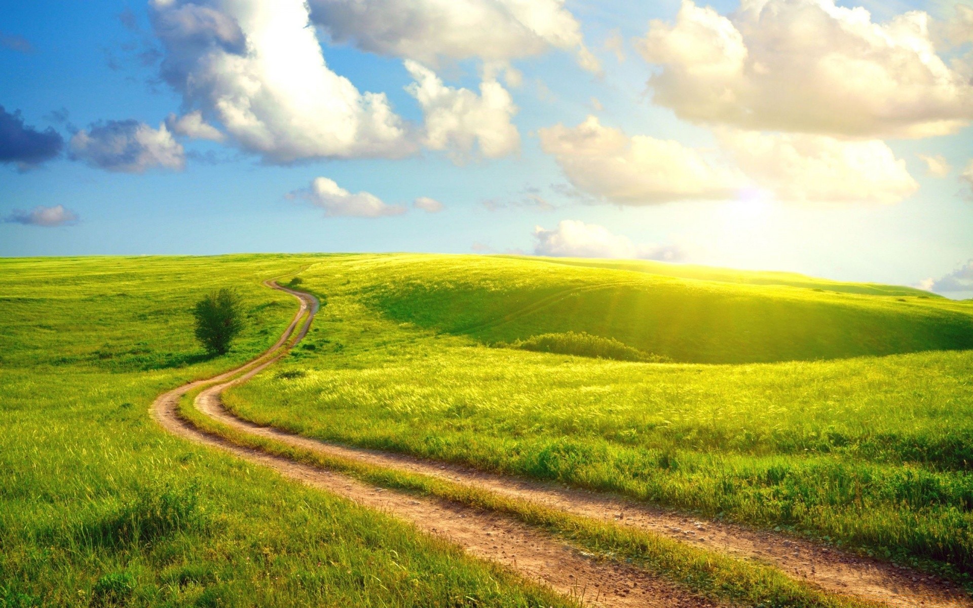 summer landscape rural field grass countryside hayfield agriculture nature farm sky country road outdoors cropland cloud grassland soil horizon