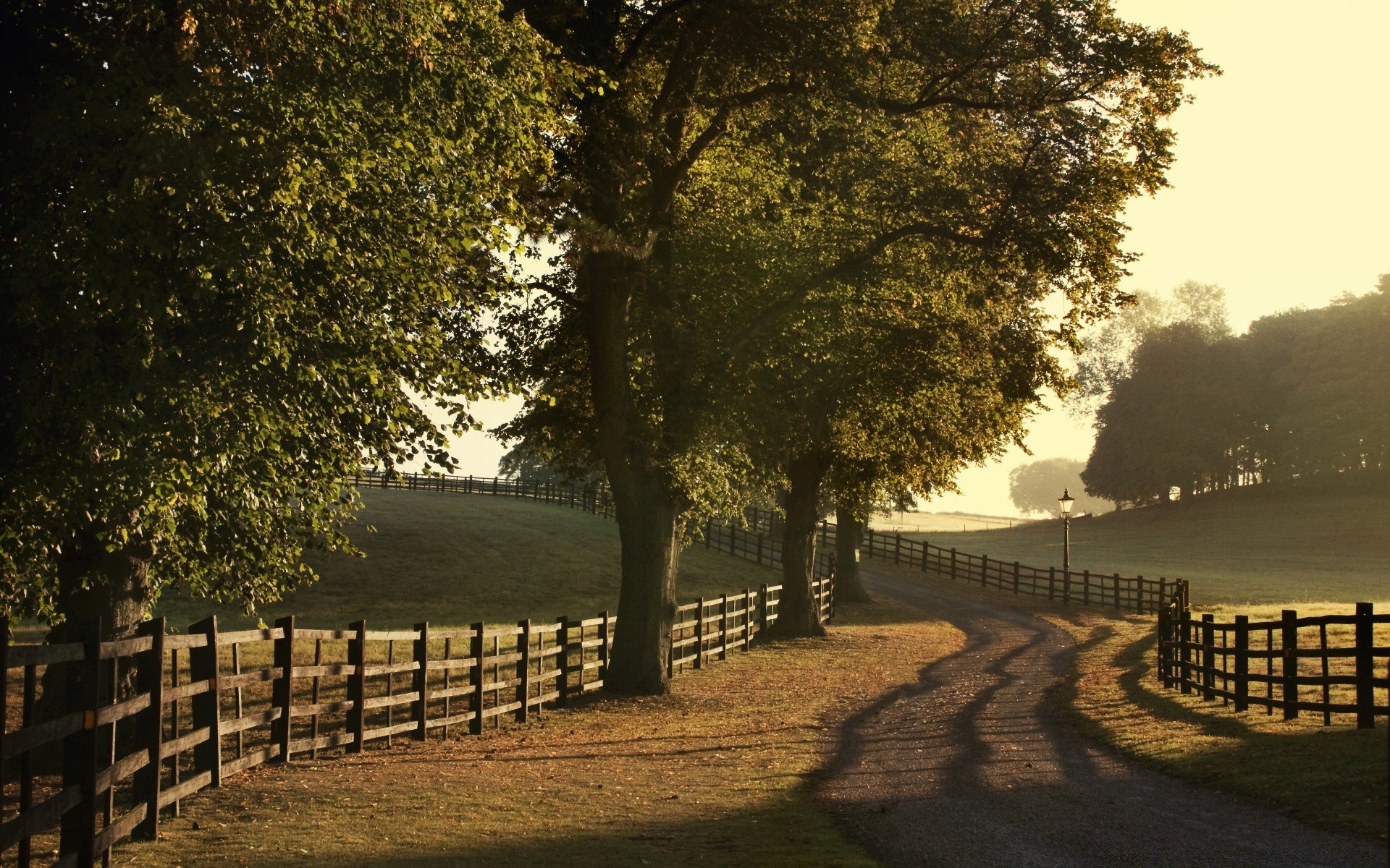 summer tree landscape fence dawn wood nature light road sun guidance country fall outdoors park shadow leaf countryside fair weather bench