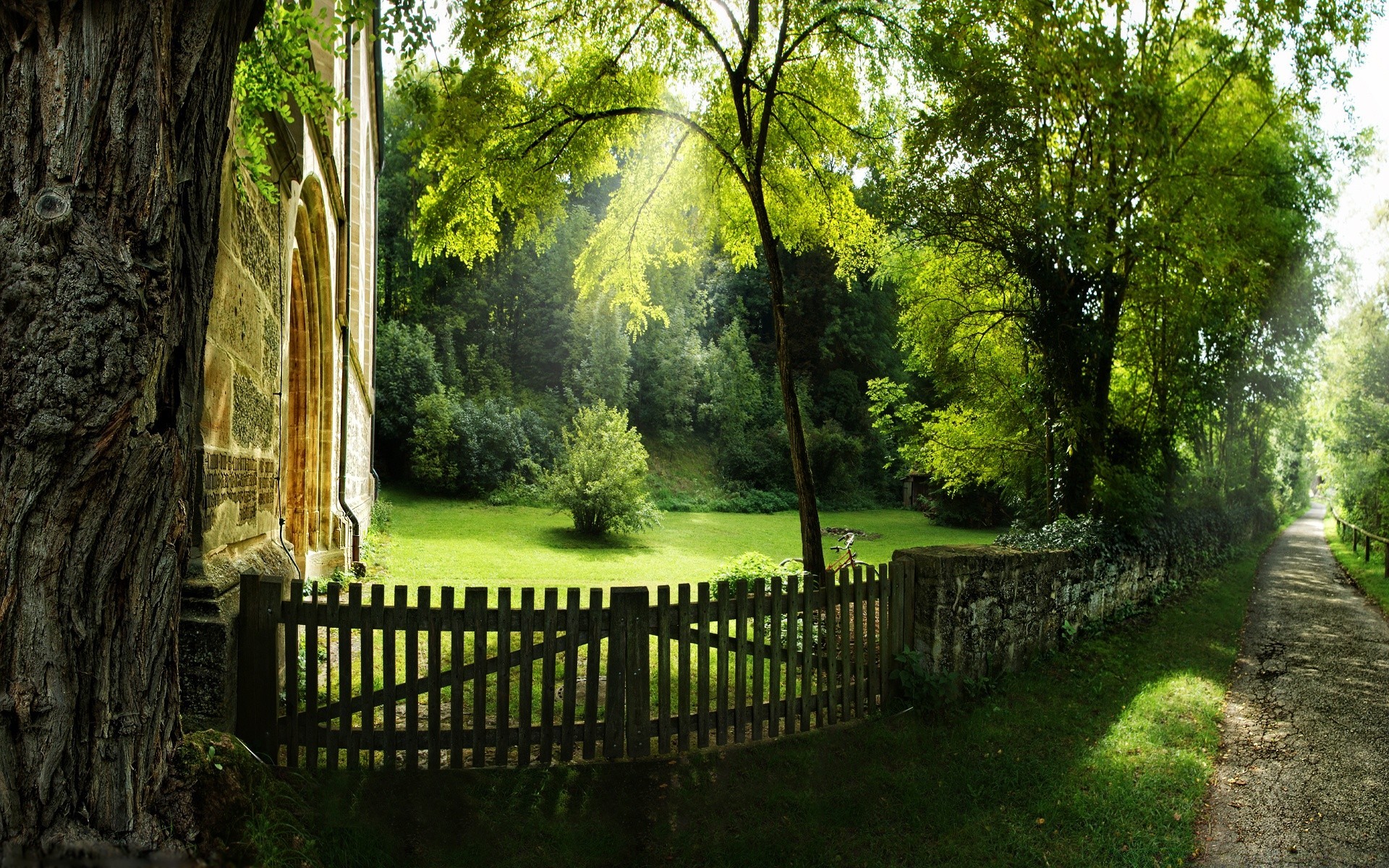 sommer holz holz park führung landschaft gras im freien garten natur blatt fußweg üppig flora