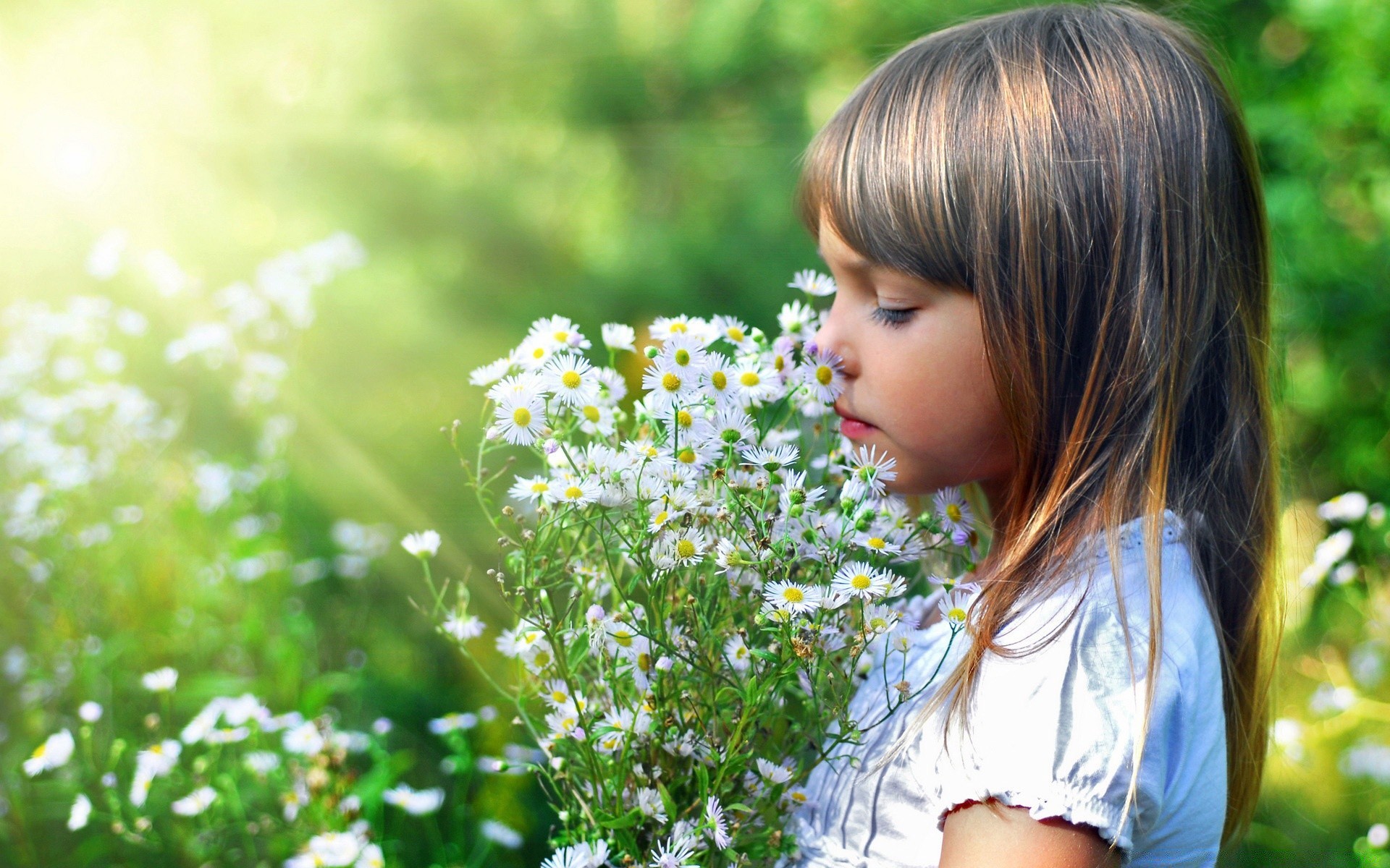 estate natura erba fiore all aperto bel tempo parco sole fieno