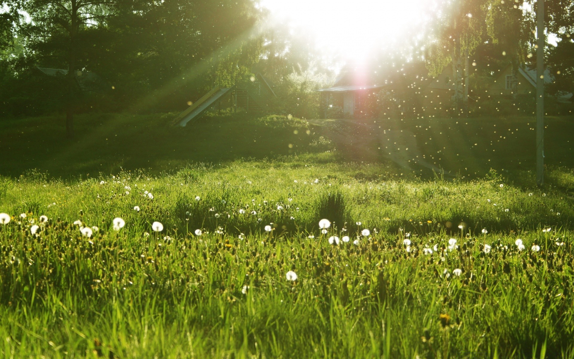 sommer gras landschaft heuhaufen feld natur rasen im freien umwelt landschaft sonne des ländlichen dämmerung land gutes wetter