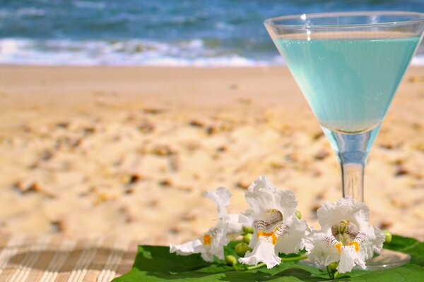 Un verre de vin se dresse sur le fond de la mer