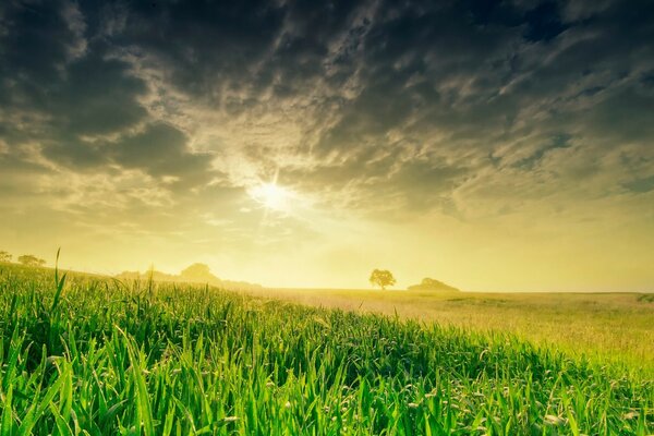 Rural pasture on a summer day