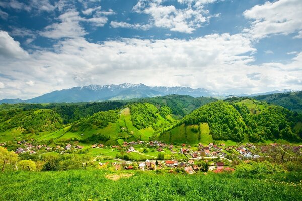 Sommerlandschaft der grünen Natur