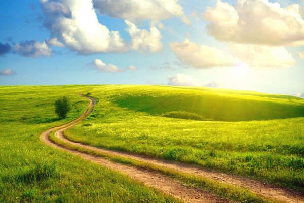 Summer landscape - field and blue sky