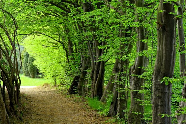 Die Natur ist der beste Schöpfer auf Erden