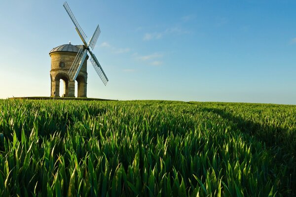 A mill in the middle of a clearing with a clear sky