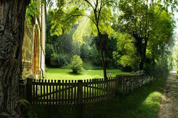 Sommerlandschaft. Grüner Park an einem sonnigen Tag