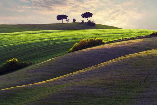 Paisaje rural de verano