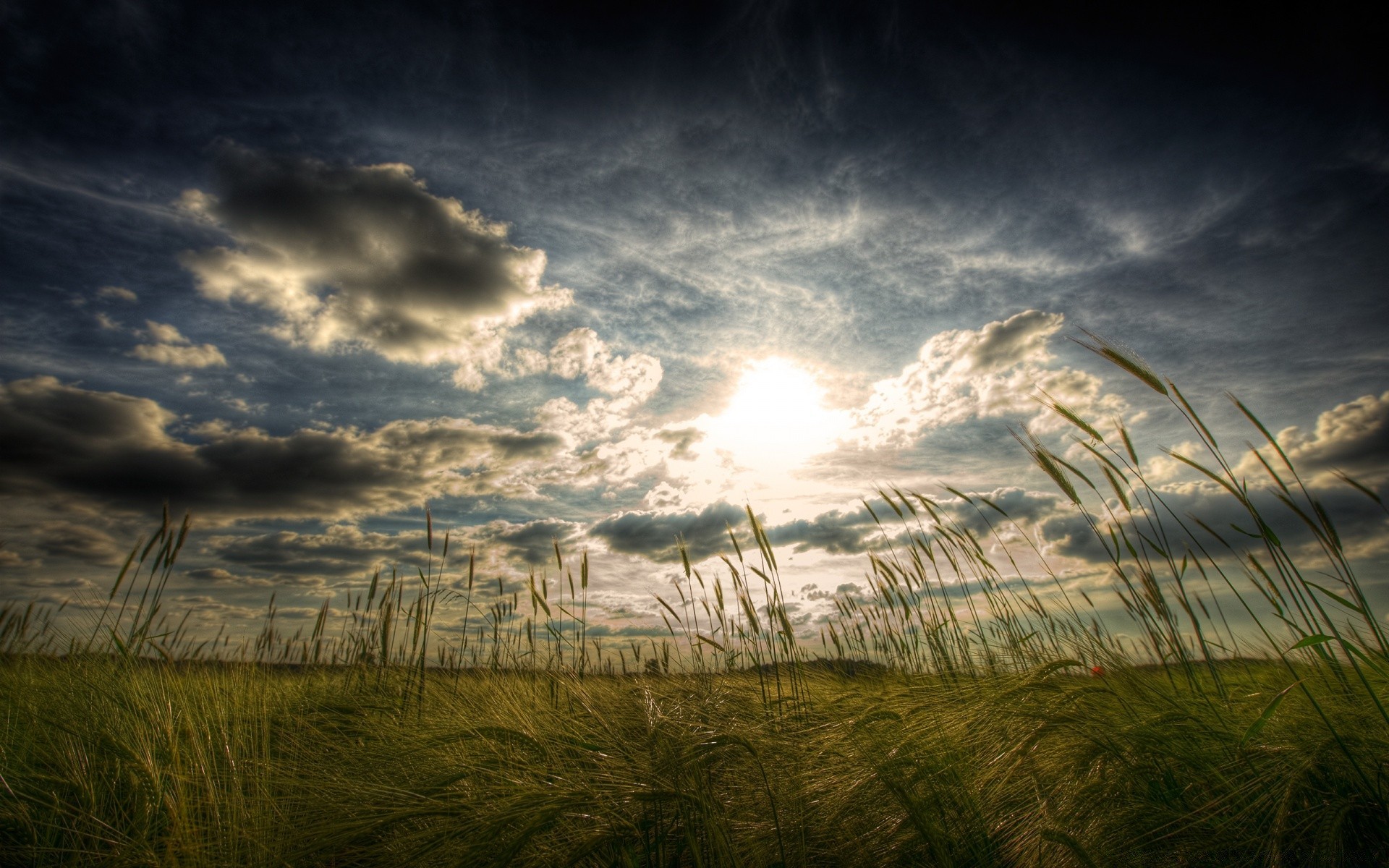 verano puesta de sol paisaje amanecer sol cielo noche nube naturaleza luz campo buen tiempo tiempo hierba crepúsculo tormenta oro silueta granja