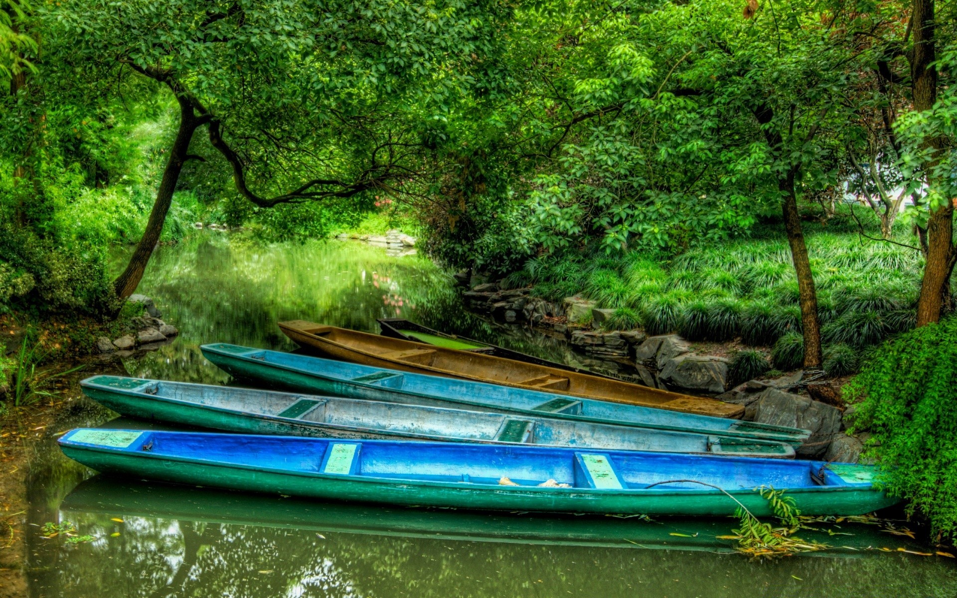 estate acqua di legno fiume albero natura paesaggio tropicale barca da viaggio bayda giungla foglia ambiente pittoresco per il tempo libero all aperto paradiso bella parco