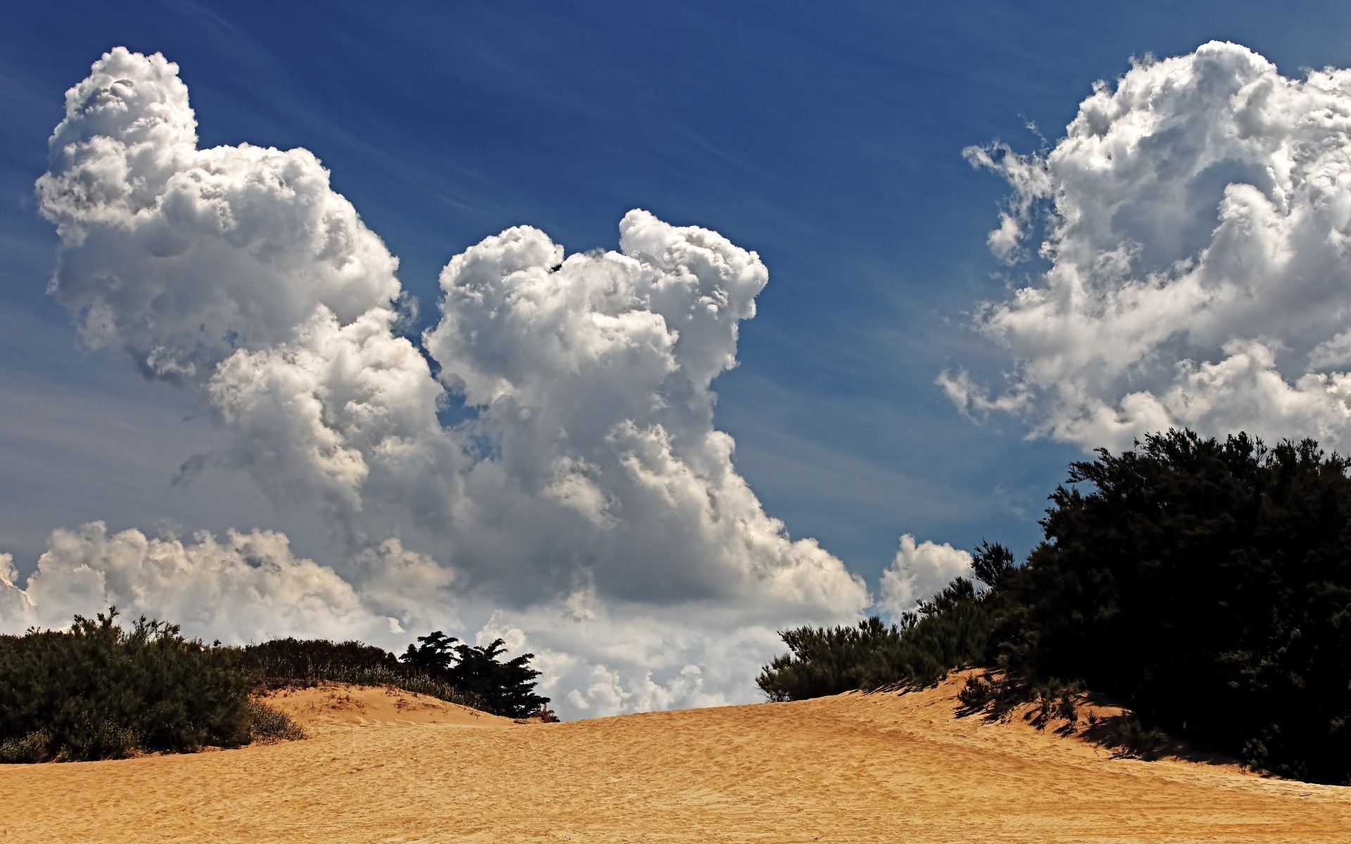 summer sky landscape nature outdoors fair weather tree travel sun soil cloud weather daylight agriculture countryside