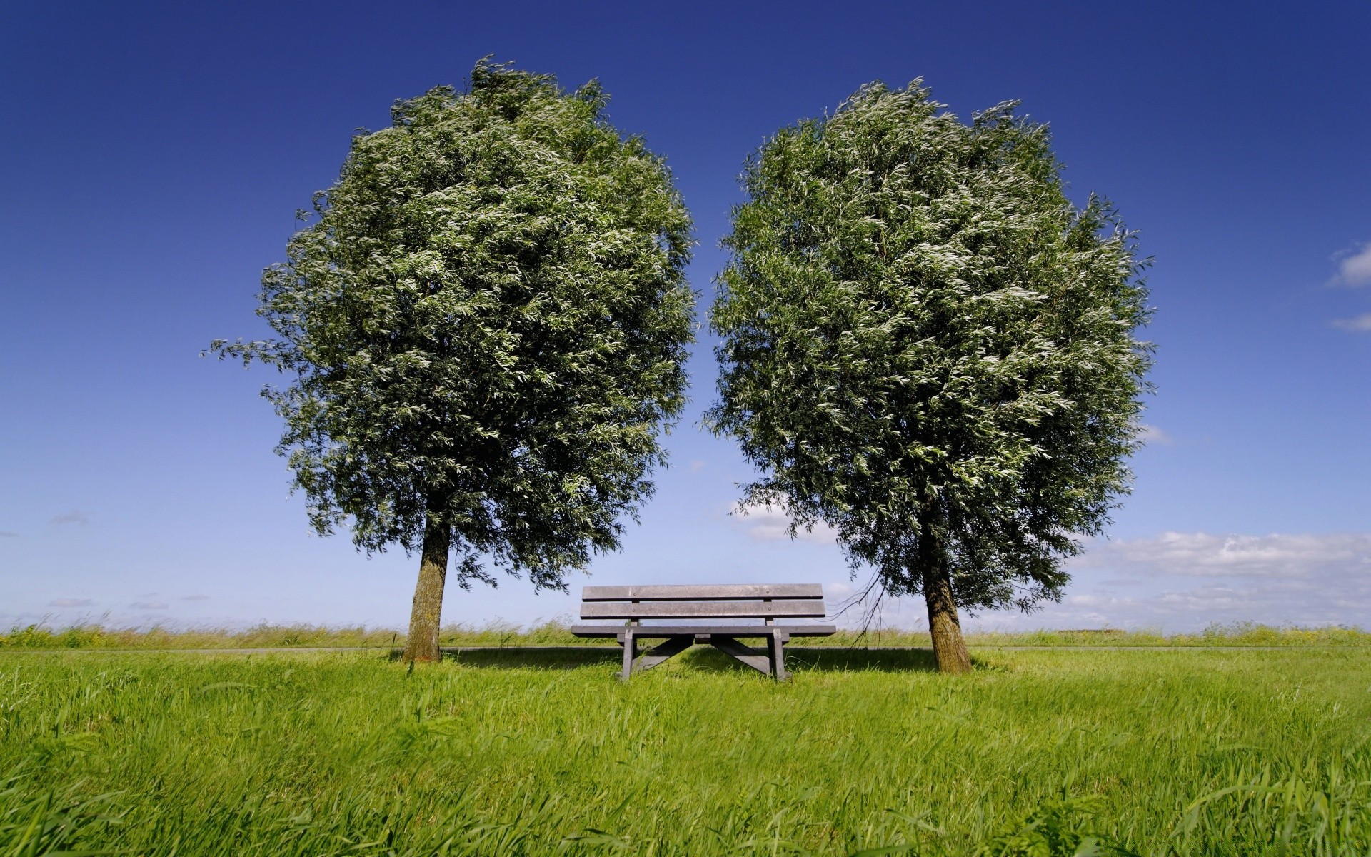 été herbe paysage ciel arbre nature en plein air champ foin rural campagne bois agriculture nuage idylle pays environnement