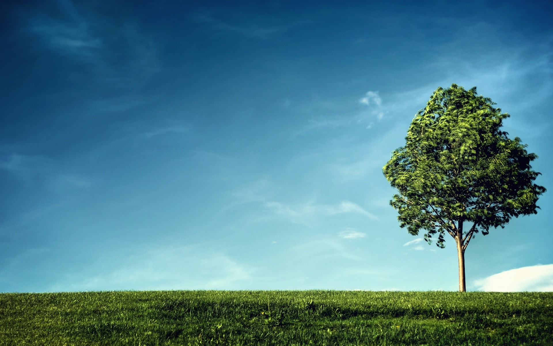 estate natura paesaggio albero cielo all aperto campagna erba rurale sole bel tempo campo legno foglia idillio orizzonte luce