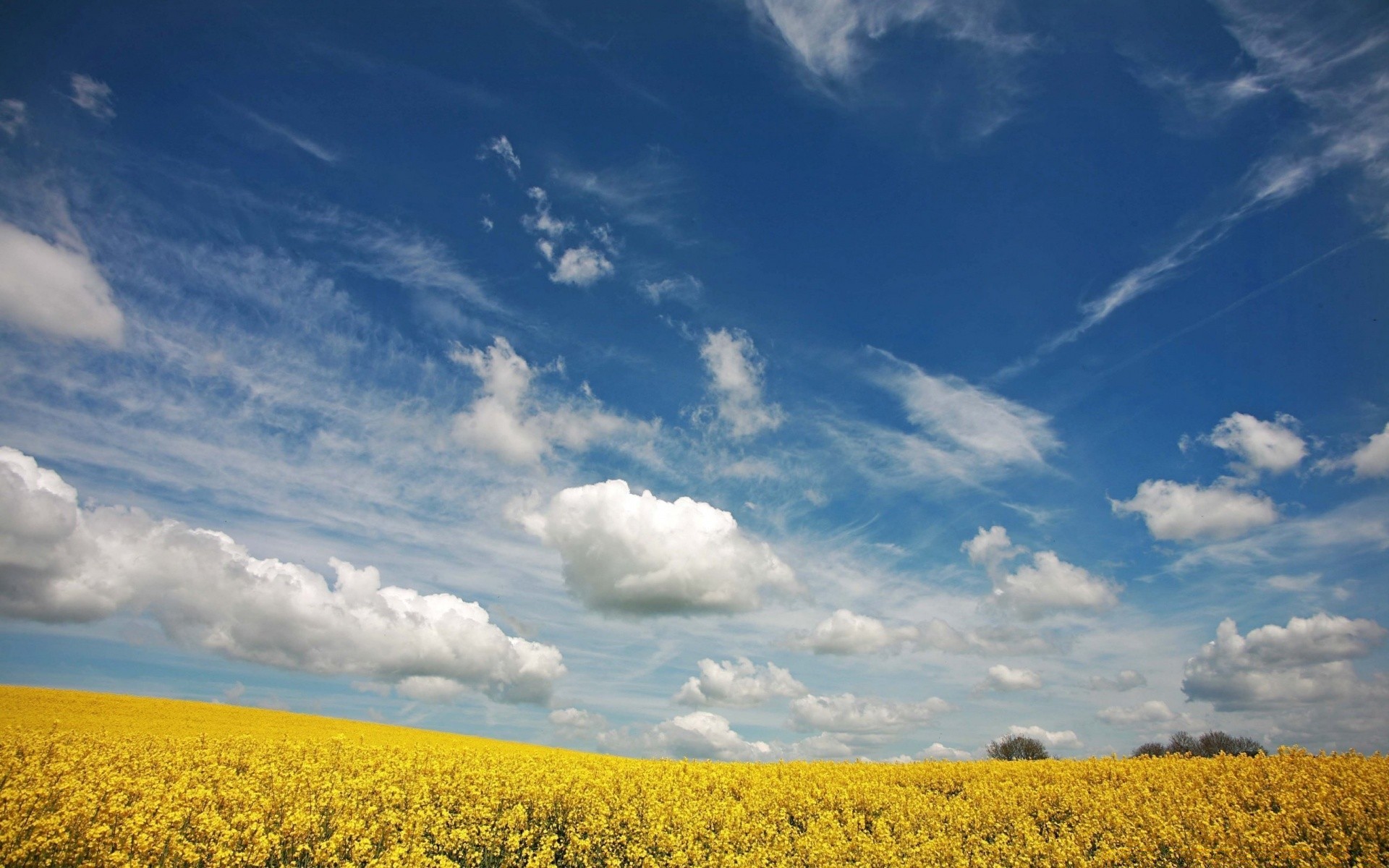 summer landscape sky agriculture nature field outdoors farm crop countryside cloud rural tree fair weather weather horizon daylight panoramic scenic