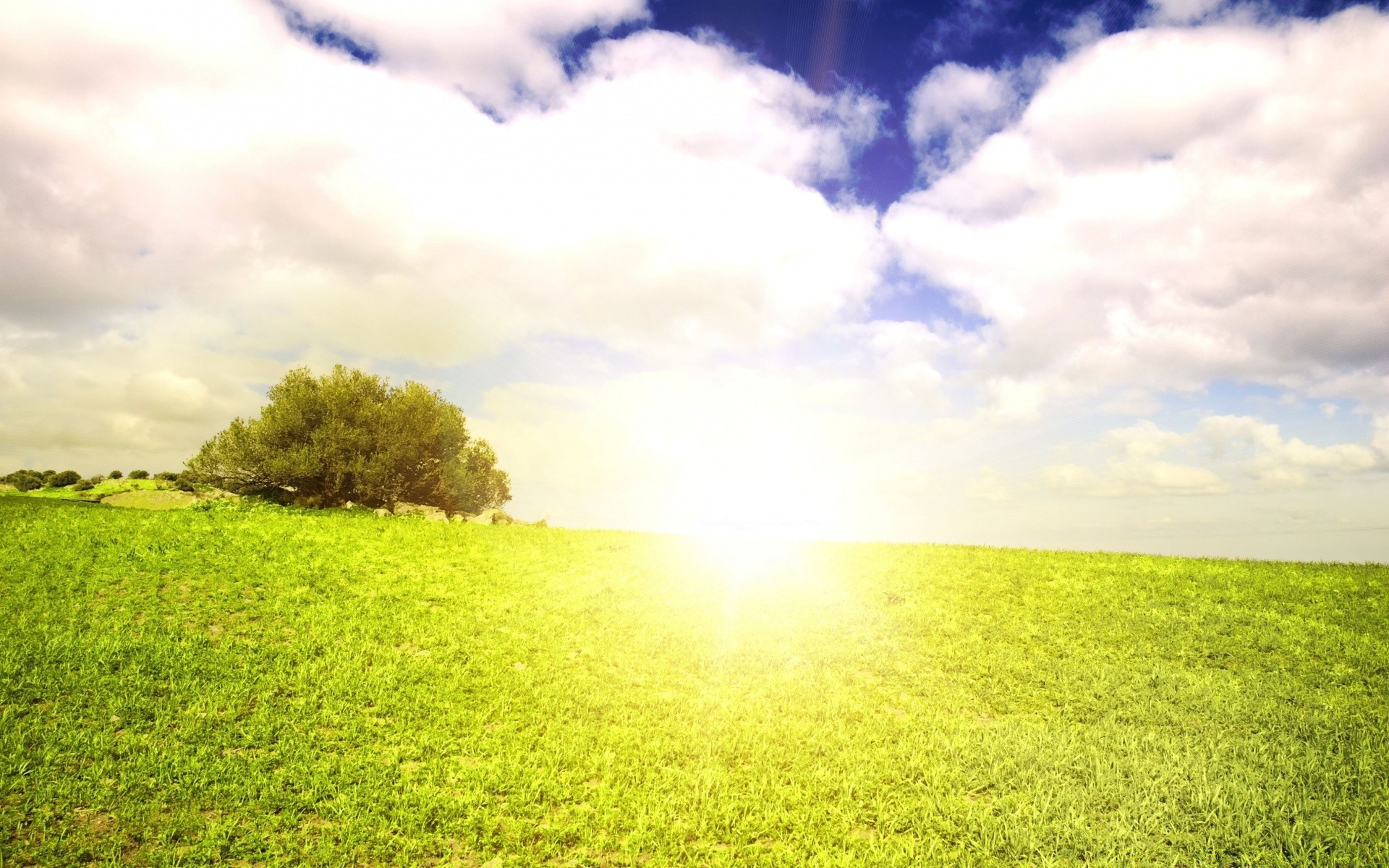 sommer gras landschaft des ländlichen natur feld sonne landschaft gutes wetter himmel im freien heuhaufen weide boden dämmerung hell idylle wolke horizont
