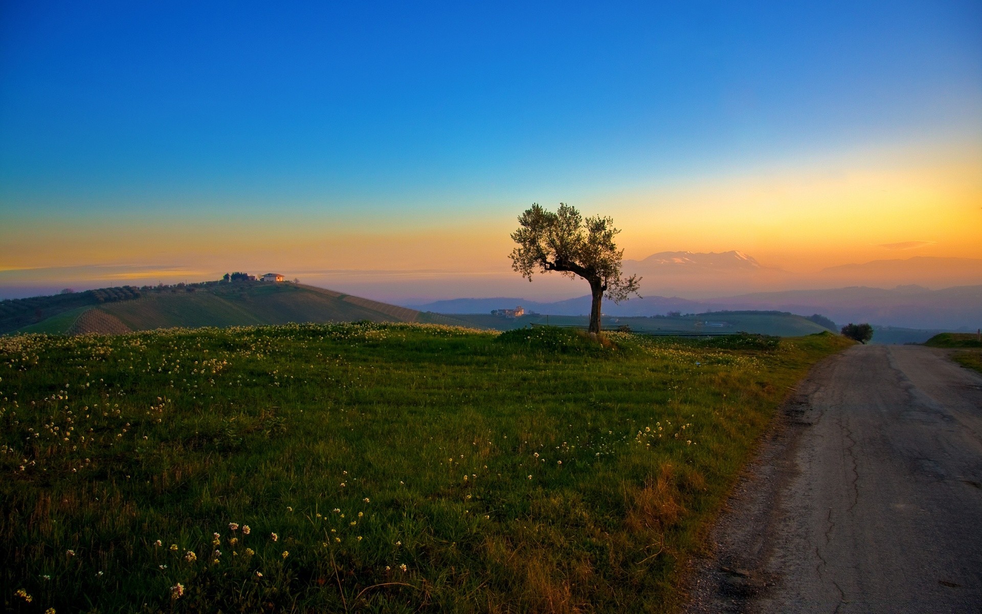 sommer landschaft sonnenuntergang dämmerung himmel baum abend natur reisen dämmerung im freien sonne berge gras