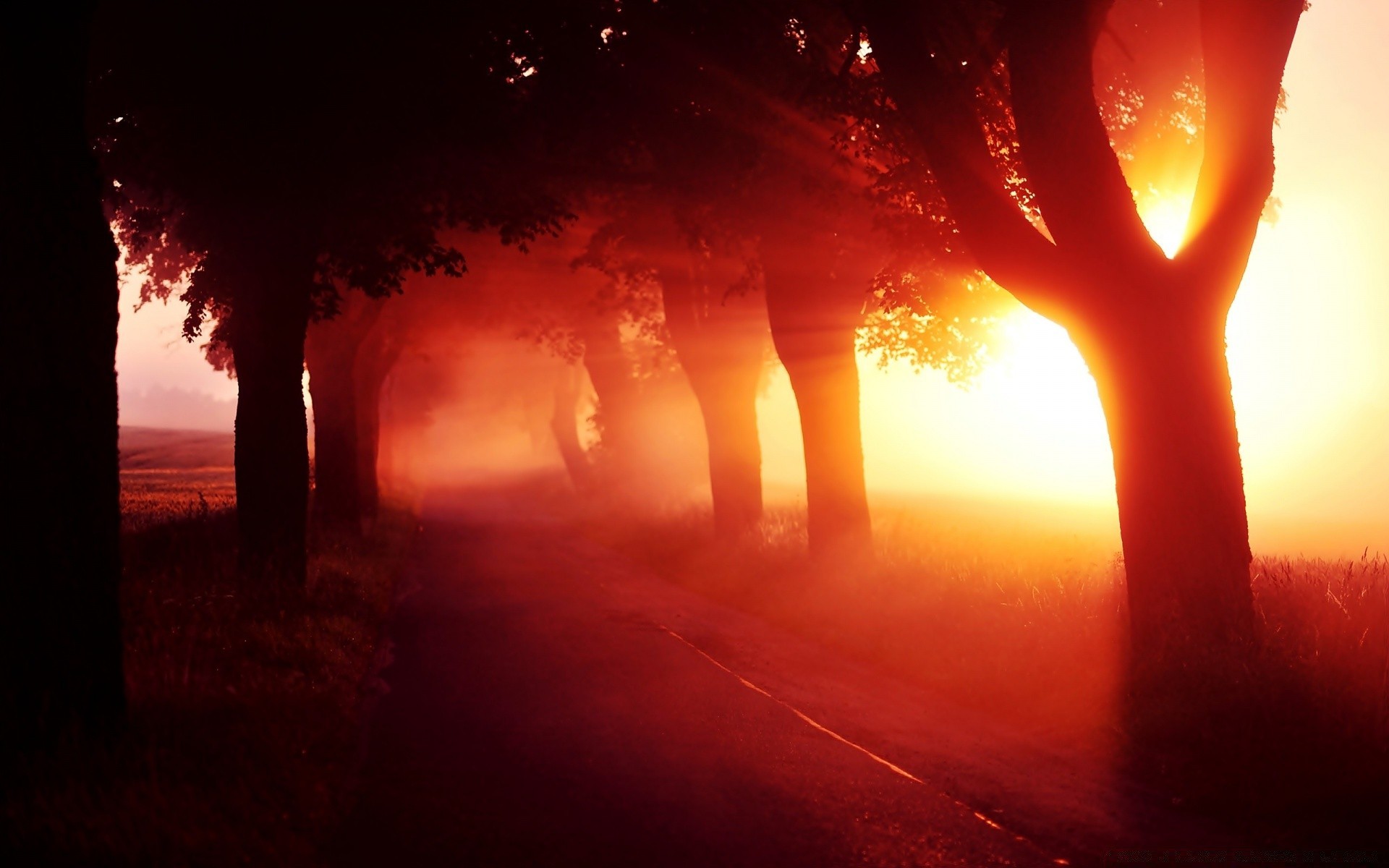 summer sunset smoke dawn silhouette backlit evening flame sun light dusk dark sky outdoors eerie landscape hot fog