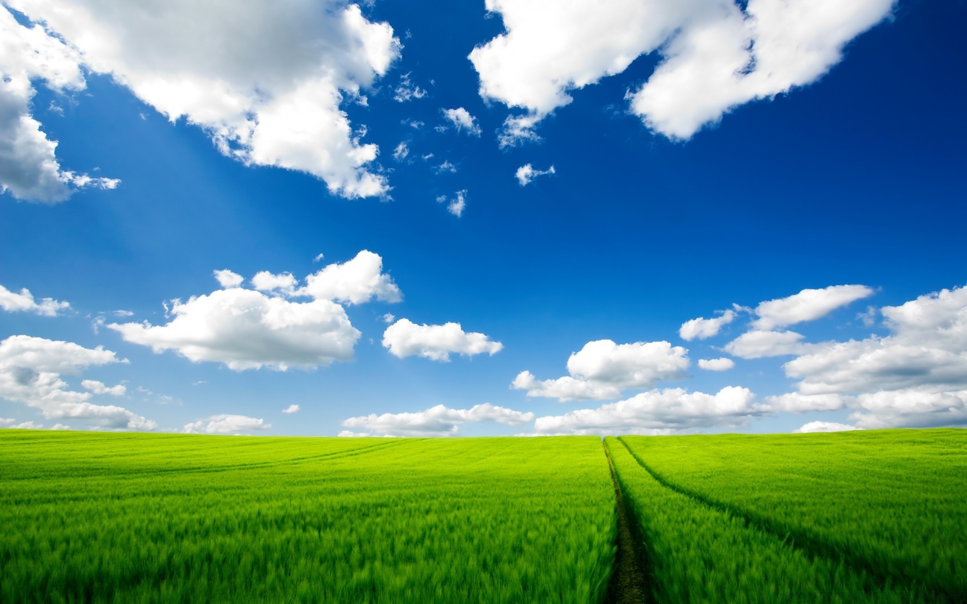 estate campo rurale pascolo natura campagna nuvola paesaggio erba cielo fattoria bel tempo nuvoloso suolo agricoltura sole fieno orizzonte