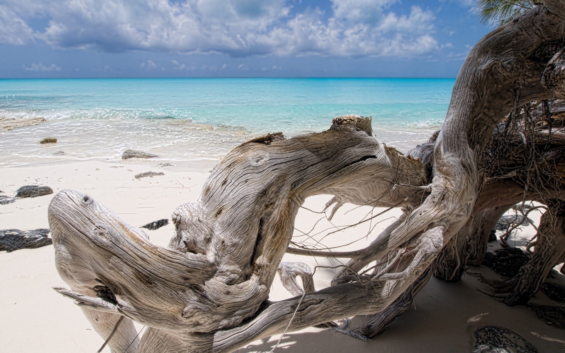 lato woda plaża morze morze ocean podróże piasek niebo krajobraz wyspa fala natura wakacje tropikalny brzeg driftwood