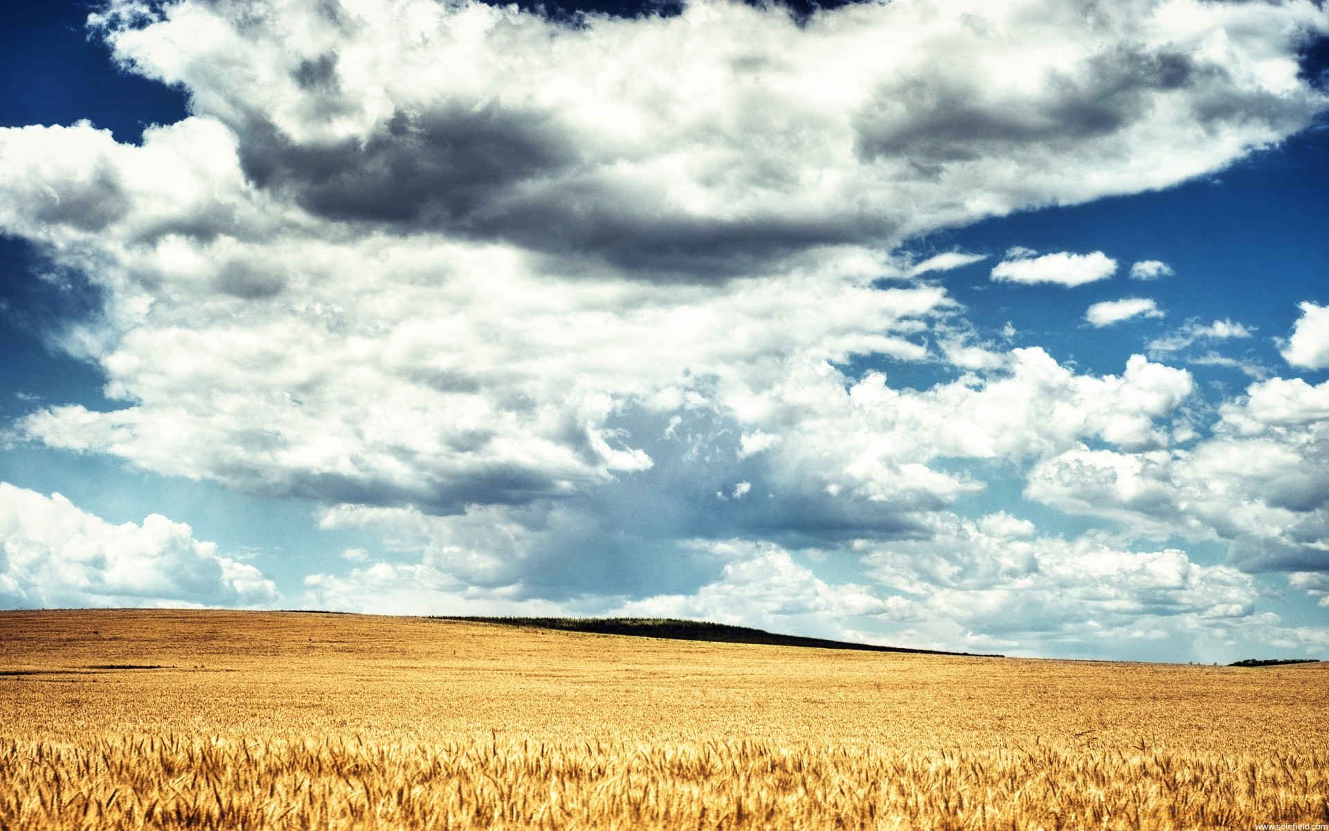 verão céu paisagem natureza trigo agricultura ao ar livre campo rural pasto cereais campo fazenda colheita nuvem bom tempo milho terra cultivada solo