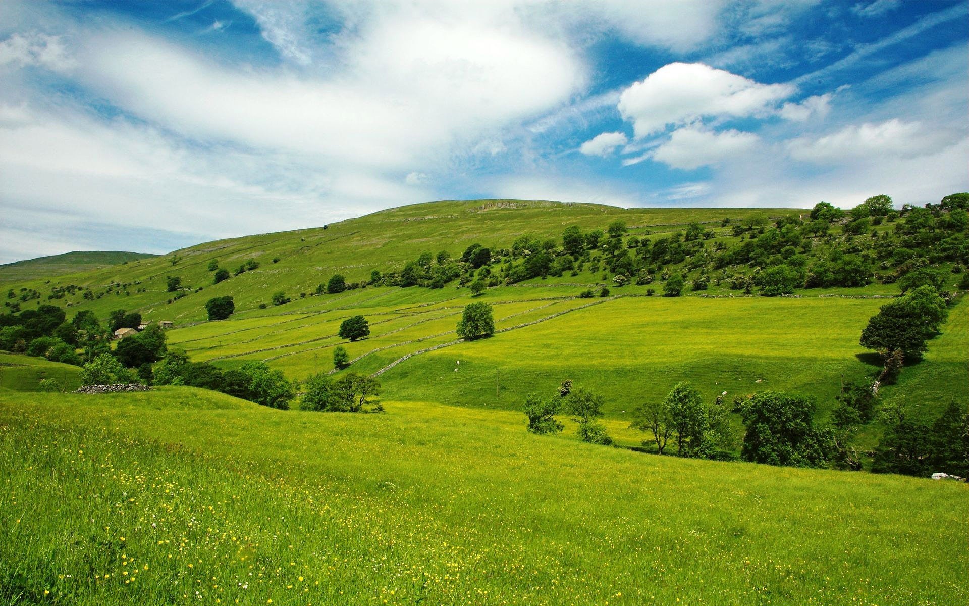 summer landscape grass field hayfield nature countryside agriculture hill rural pasture outdoors tree grassland sky farm scenic country cropland