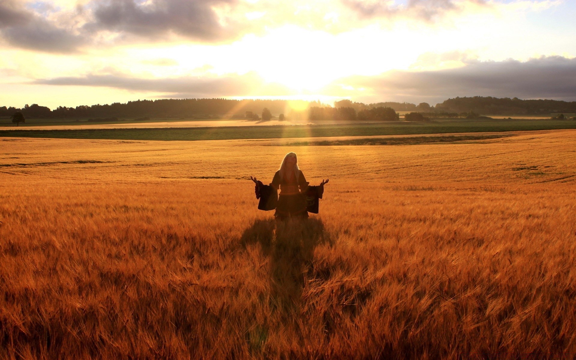 été coucher de soleil aube blé paysage champ agriculture en plein air pâturage céréales soleil ferme ciel soir terres cultivées mammifère nature crépuscule herbe rural