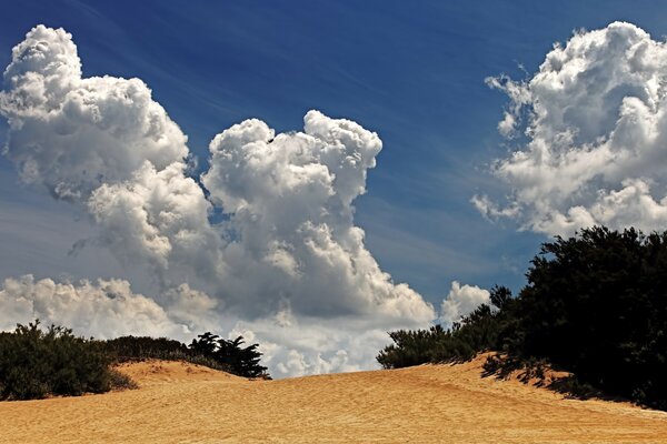 Summer sky and cumulus clouds