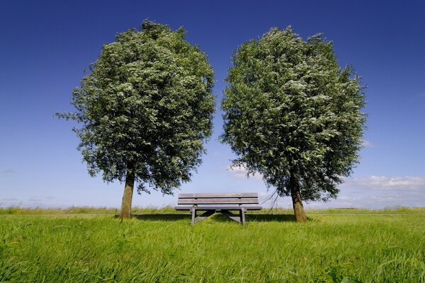 Schöne Sommerlandschaft scheint die Sonne