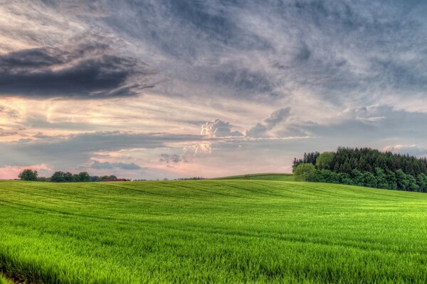 Ländliche Sommermorgenlandschaft