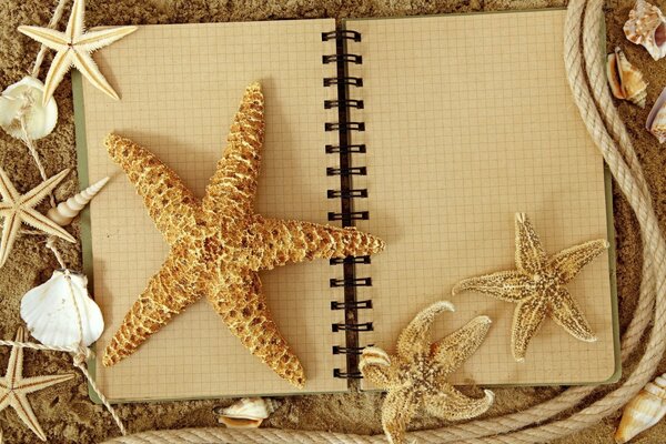 Starfish with a notebook in a cage