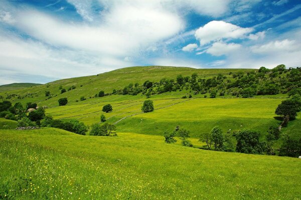 Sommerlandschaft mit blauem Himmel