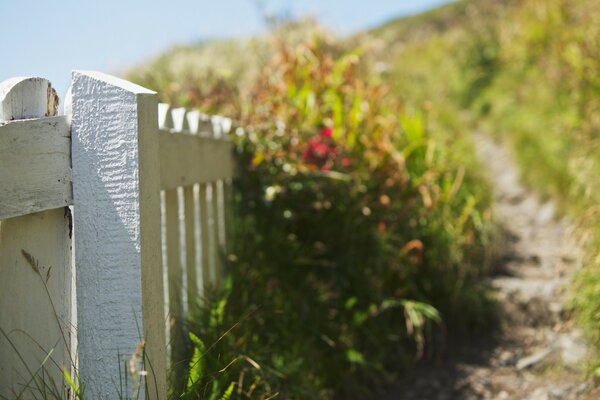 Paysage de bord dans un style rustique