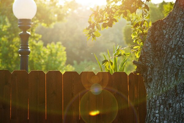 Sonniger Sommertag in der Natur