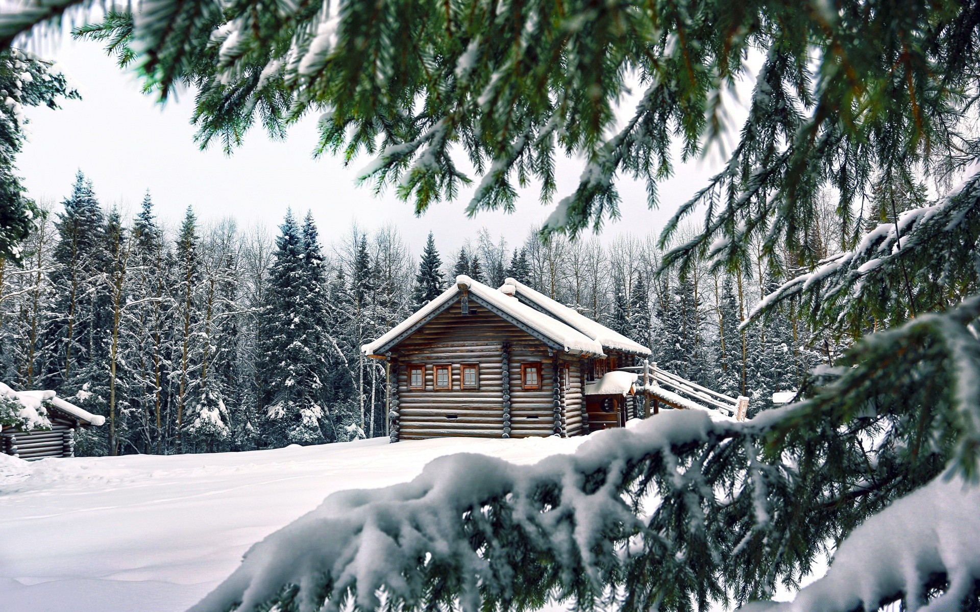 冬天 雪 木 树 冷 冷杉 冷冻 度假村 常绿 季节 小屋 霜 冰 景观 房子 山 雪堆 风景 户外